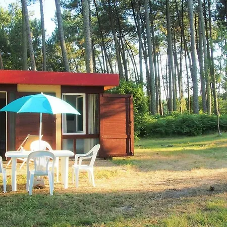 Dom wakacyjny Les Villages Sous Les Pins, Bungallow A17
